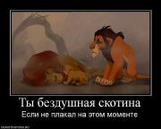 Прикрепленное изображение: x_339f6eb2.jpg