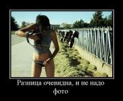 Прикрепленное изображение: 1136733M.jpg