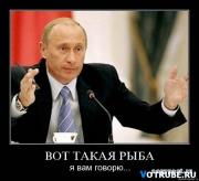 Прикрепленное изображение: 1244825533_demotivatorywwwvotruberu4.jpg