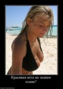 Прикрепленное изображение: b55d48ced659b13176e13289d60599f7.jpg