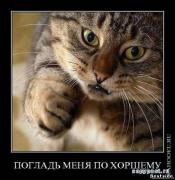 Прикрепленное изображение: 175601968.jpg