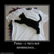 Прикрепленное изображение: 12e1fc4759d7.jpg