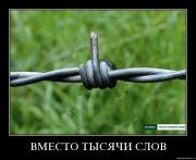 Прикрепленное изображение: 8zyiux28v8eo.jpg