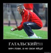 Прикрепленное изображение: oxfzrd7k8cvo.jpg