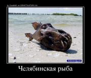 Прикрепленное изображение: 3021284204744.jpg