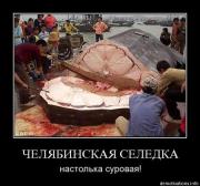 Прикрепленное изображение: www.demotivations.infozz9ve4cld65v.jpg