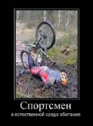 Прикрепленное изображение: 2e9dc31b290b.jpg