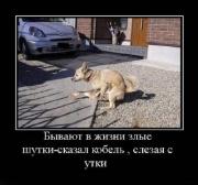 Прикрепленное изображение: 1297670911_8bwwdmlqotlfmrh.jpeg