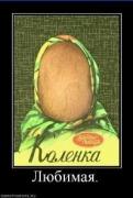 Прикрепленное изображение: 1304169858_samye_smeshnye_demotivatory_v.jpg