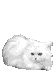 Прикрепленное изображение: file.php_id_1320120006ed895ff41a26624316fd3e6c8bfcf18.gif
