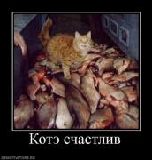 Прикрепленное изображение: 3.jpg