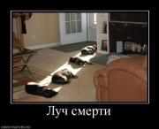 Прикрепленное изображение: 7.jpg
