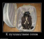 Прикрепленное изображение: 9.jpg