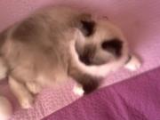 Прикрепленное изображение: _____.jpg