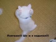 Прикрепленное изображение: 1220999420_2038af8824f0.jpg