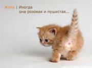 Прикрепленное изображение: 1220516747_prikol25.jpg