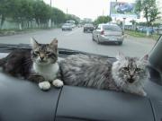 Прикрепленное изображение: 3.jpg