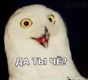 Прикрепленное изображение: 185826_m.jpg