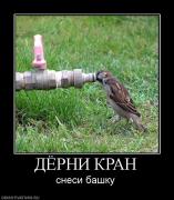 Прикрепленное изображение: 761050_dyorni_kran.jpg