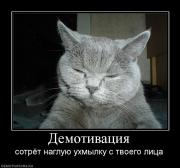 Прикрепленное изображение: 537911_demotivatsiya.jpg