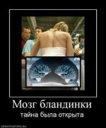 Прикрепленное изображение: 471575_mozg_blandinki.thumbnail.jpg