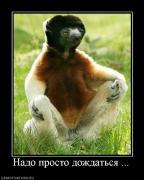 Прикрепленное изображение: 290644_nado_prosto_dozhdatsya_.jpg