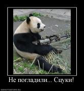 Прикрепленное изображение: 251598_ne_pogladili_stsuki.jpg