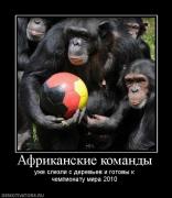 Прикрепленное изображение: 77345_afrikanskie_komandyi.jpg