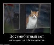 Прикрепленное изображение: 932221_vosmibitnyij_kot.jpg