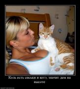 Прикрепленное изображение: 750272_kol_est_siski_i_kote_znachit_dem_na_vyisote.jpg