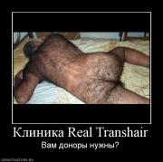 Прикрепленное изображение: 58095_klinika_real_transhair.jpg