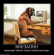 Прикрепленное изображение: 152331_vnezapno.jpg