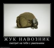 Прикрепленное изображение: 490989_zh_u_k_n_a_v_o_z_n_i_k.jpg