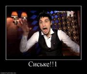 Прикрепленное изображение: 856515_siske1.jpg