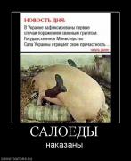 Прикрепленное изображение: 316854_saloedyi.jpg