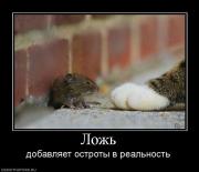 Прикрепленное изображение: 890806_lozh.jpg