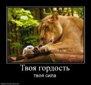Прикрепленное изображение: 918601_tvoya_gordost.jpg