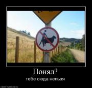 Прикрепленное изображение: 459788_ponyal.jpg