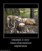 Прикрепленное изображение: 776209_uvidish_v_lesu_takoeobdelaeshsya_kirpichami.jpg