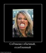 Прикрепленное изображение: 500719_sobchaskal_obyichnyij_ozloblennyij.jpg