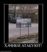 Прикрепленное изображение: 604653_hachiki_atakuyut.jpg