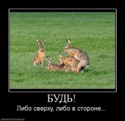 Прикрепленное изображение: 426483_bud.jpg