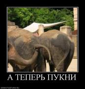 Прикрепленное изображение: 666119_a_teper_pukni.jpg