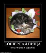 Прикрепленное изображение: 875610_koshernaya_pischa.jpg