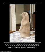 Прикрепленное изображение: 249452_aaaaaaaaaaaaaaaaaaaa.jpg