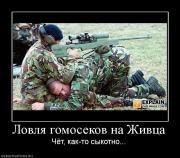 Прикрепленное изображение: 716780_lovlya_gomosekov_na_zhivtsa.jpg