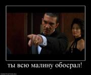 Прикрепленное изображение: 854301_tyi_vsyu_malinu_obosral.jpg