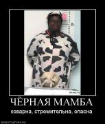 Прикрепленное изображение: 956267_chyornaya_mamba.jpg