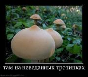 Прикрепленное изображение: x_af9830df.jpg