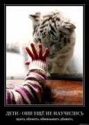 Прикрепленное изображение: x_203b7352.jpg